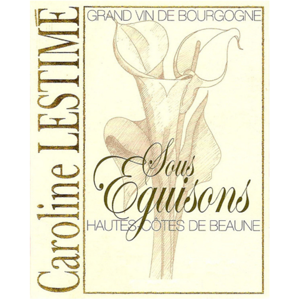 2020 Bourgogne Hautes Côtes de Beaune`Sous Eguisons`, Domaine Jean-Noël Gagnard