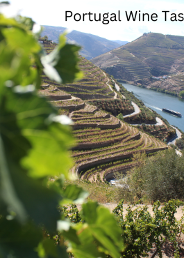 Thursday 13th March – Portugal Wine Tasting