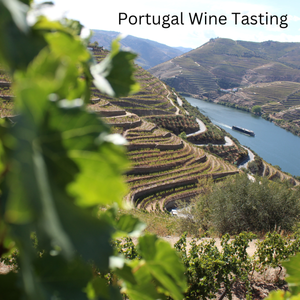 Thursday 13th March – Portugal Wine Tasting